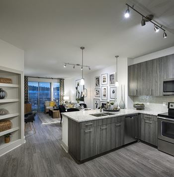 Kitchen and Living Area